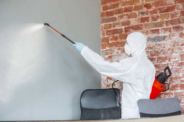 Best Residential Mold Inspection & Testing  in Oneida, TN