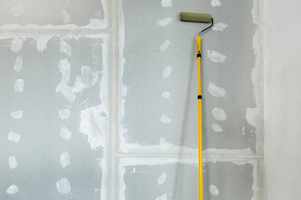 Best Mold Damage Restoration  in Oneida, TN