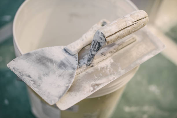 Best Mold Prevention Services  in Oneida, TN