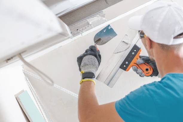 Best Post-Construction Mold Inspection  in Oneida, TN